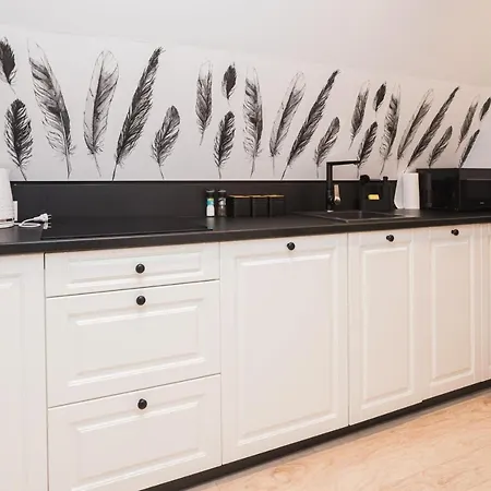 Magiczne Gniazdko Na Samym Rynku * ヴロツワフ